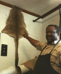 Womack with pelt of Chatham's largest rat