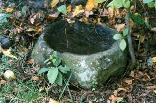 A probable grinding stone