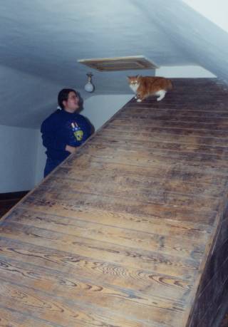 Sarah Mitchell and Dandylion at ramp