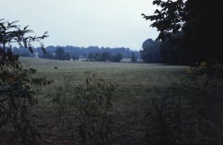 Cane Creek campsite