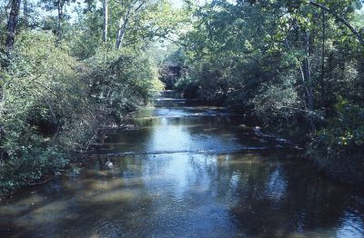 Cascade Creek