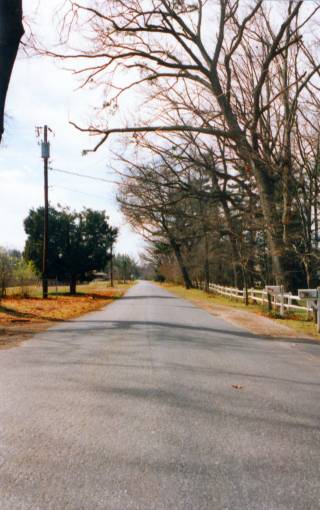 Tunstall quarterpath, looking south