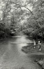 Students at Cascade Creek