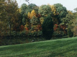 Pond