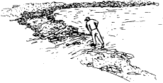 Indian fish weir sketch sketch