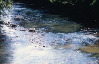 Close-up of weir remnant