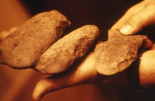 Stone celts