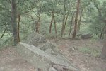 Local Nature Guides