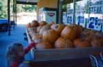 Fall